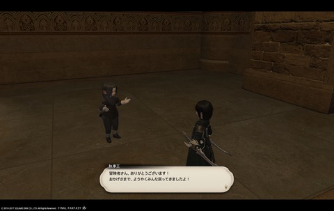 ffxiv sq308