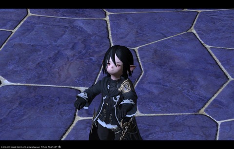 ffxiv sky479