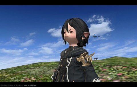 ffxiv sky537