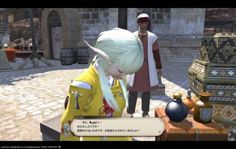 ffxiv sq305