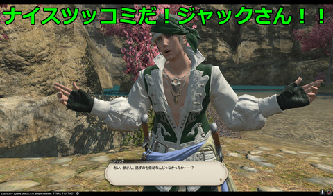 ffxiv nin401