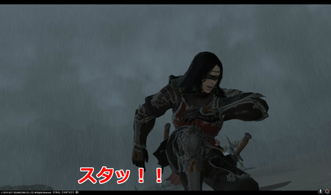 ffxiv nin484