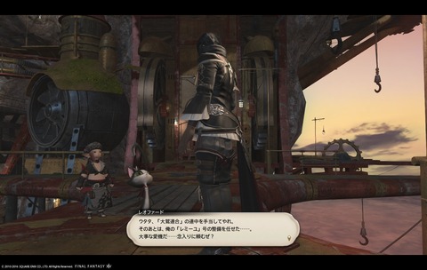 ffxiv sky261