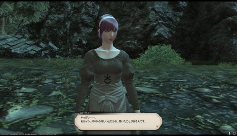 ffxiv drk1003