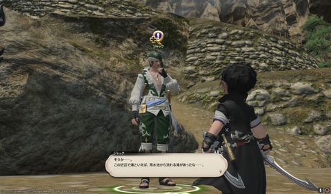 ffxiv nin363