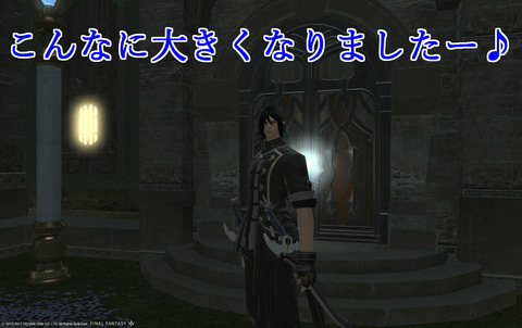 ffxiv diary989