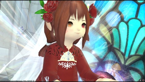 ffxiv diary1253