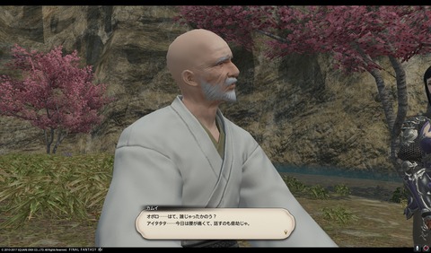 ffxiv nin397
