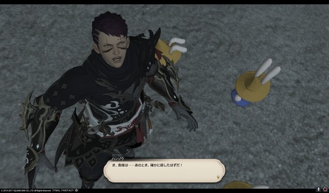 ffxiv nin481