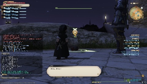 ffxiv sq666