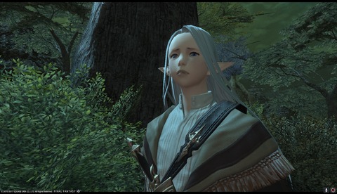 ffxiv drk991