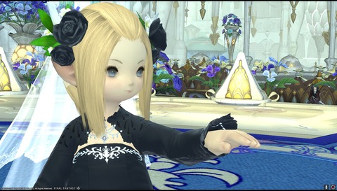 ffxiv diary1240