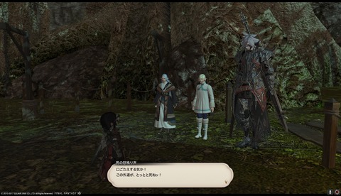 ffxiv drk944