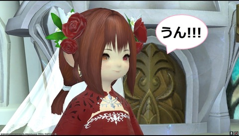 ffxiv diary1248