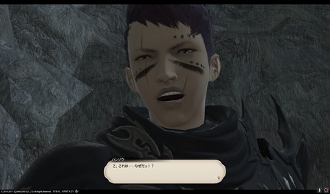 ffxiv nin473