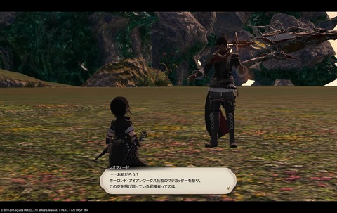 ffxiv sky33