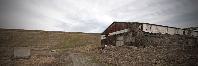 P3124505pa2_800