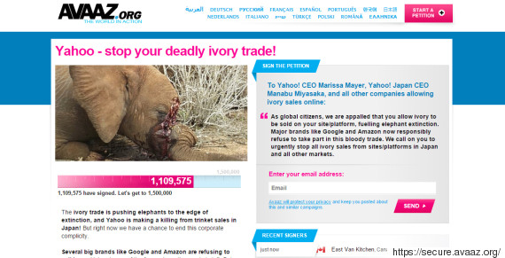 o-AVAAZ-570