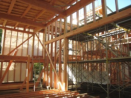 c66ca383.jpg