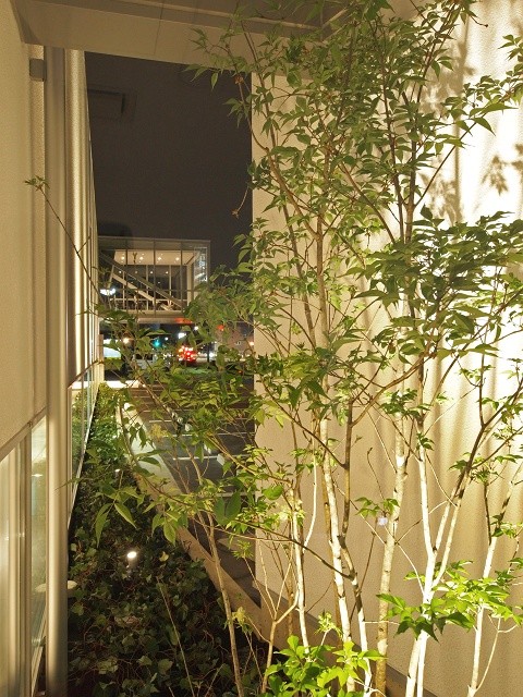 P5078361a_640