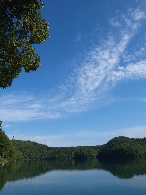 d2707535.jpg