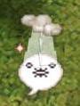 01feaa31.jpg
