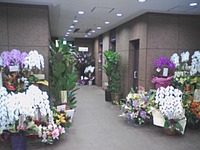 お花
