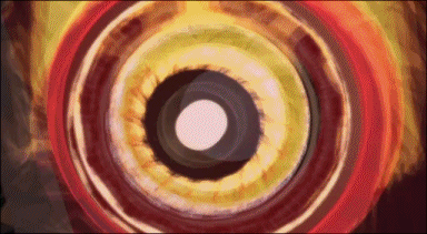 16801619925849