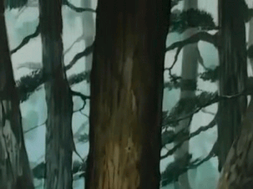 12275867156817