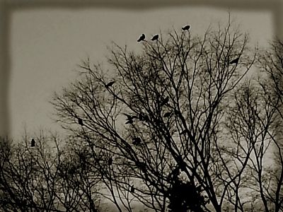 s-DSC_0109