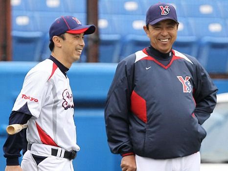 ヤクルト