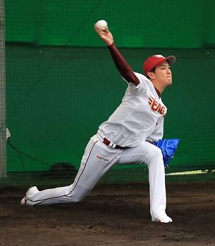 岸
