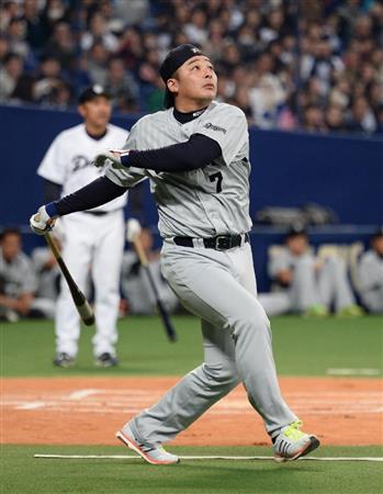 morino