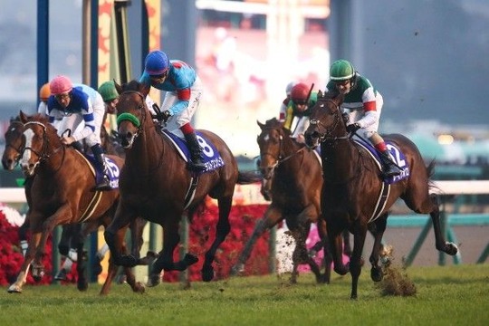 201812230005-spnavi_2018122300008_view