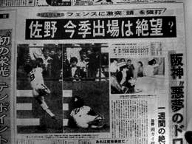佐野仙好