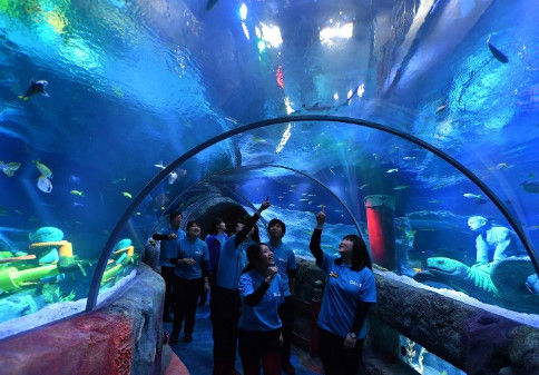 レゴランド「お前ら、水族館作ったぞ水族館!何で来ないの?」