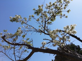 20140408_104240
