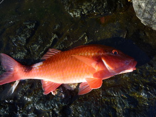 P1000805
