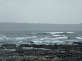 P1000217