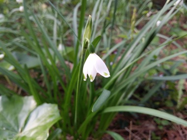 20160323_073030