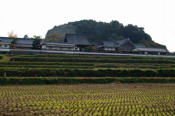 橘寺02