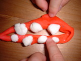 7246327e.jpg