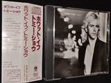 見本版　サンプル版  Shaw トミー・ショウ　ライヴ・イン・ジャパン 見本版 サンプル版 Shaw トミー・ショウ ライヴ・イン・ジャパン