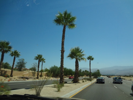 DSC00198
