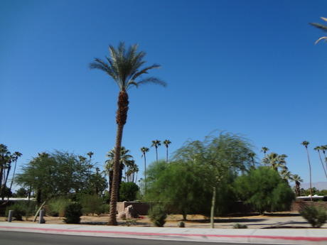 DSC00258