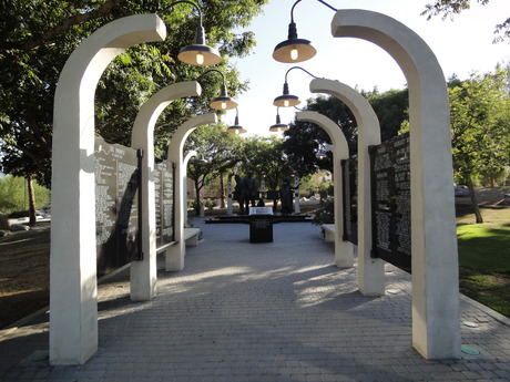 DSC03247