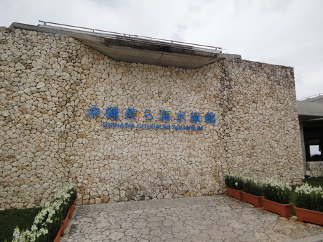 DSC05301