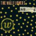 wallflowers