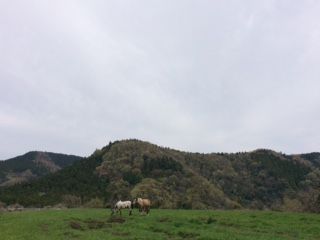 IMG_3876