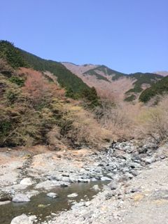 IMG_2366